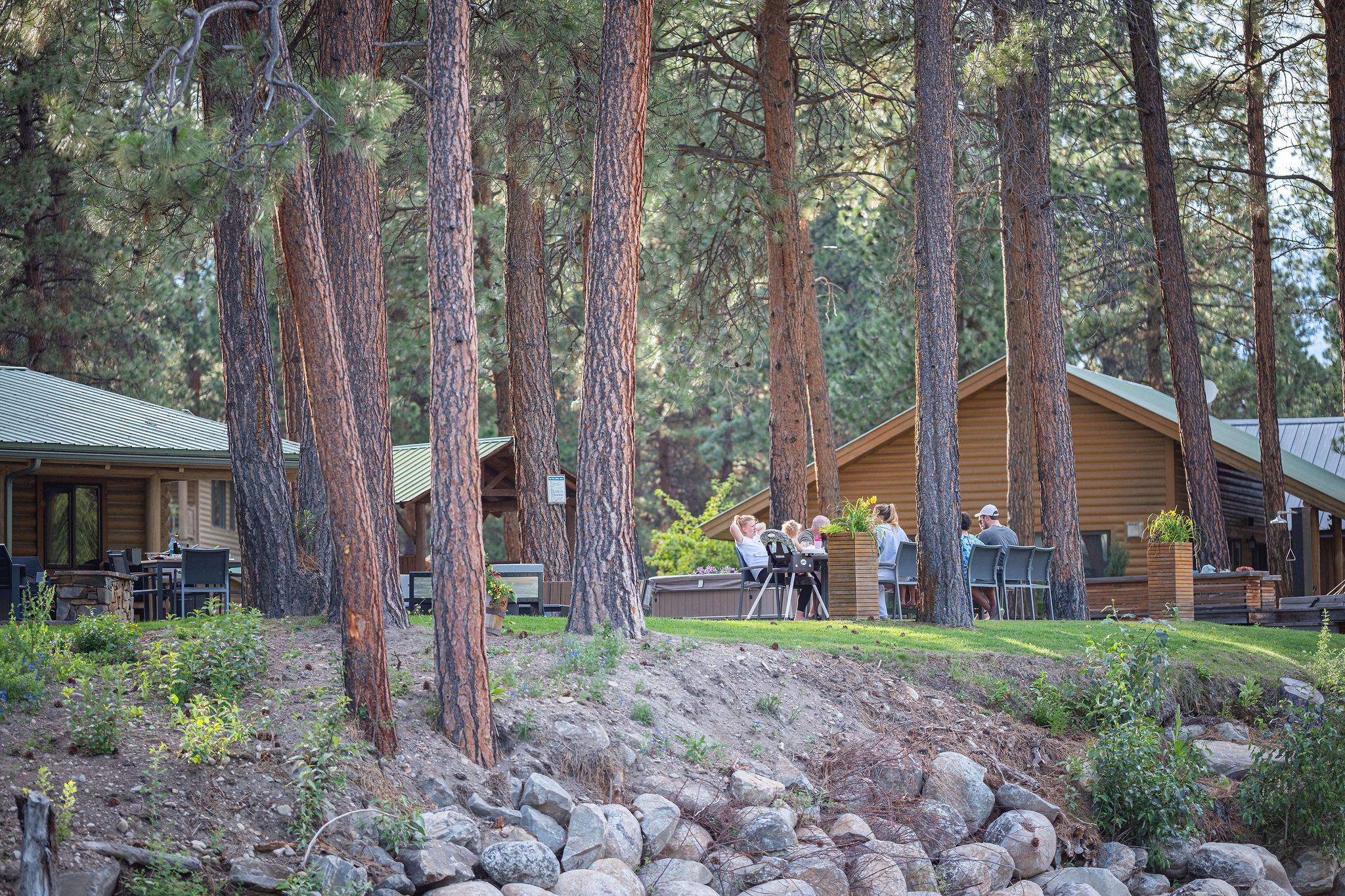 Guests dining outdoors among the pines