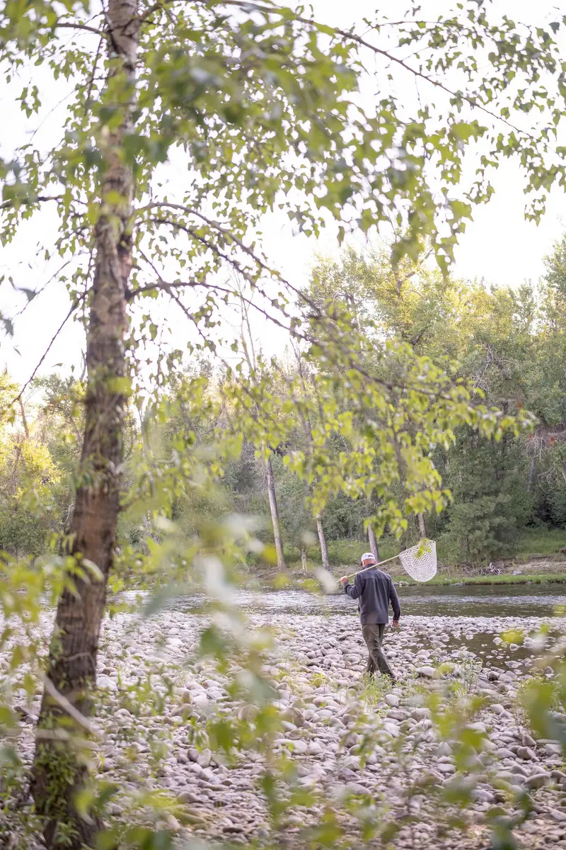 Fishing guide walking to the Bitterroot River with net