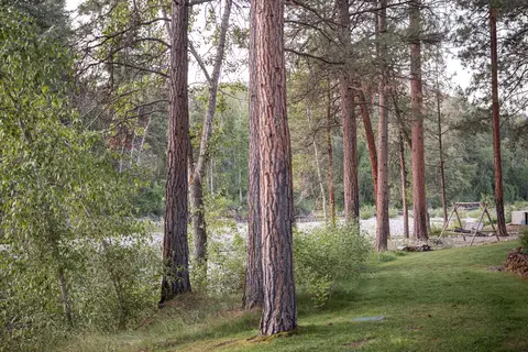 Pine grove and river grounds at the lodge